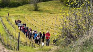 Pasquetta tra colline e sapori a Coniolo