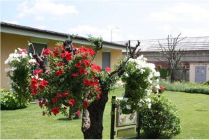 “Le parole per dirlo”: al Giardino di Luisa il progetto dedicato ai giovani