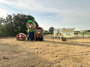 L’Amson a la Madona di Santa Maria celebra i 40 anni di Super Mario