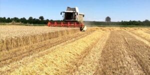 Oscar Green 2026, aperte le candidature: fino al 29 giugno il premio giovani agricoltori innovatori