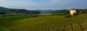 MonferVINUM fa tappa a Conzano: visita alla Tenuta Vallone