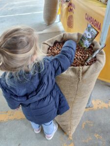 Nocciole, alleate della salute e dell’economia: serve più ricerca per sostenere la Tonda Gentile