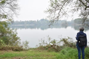 Casale, l’ex cava è ora un paradiso di alberi e uccelli