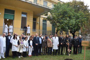 Casale, la salute delle persone passa anche per gli alberi