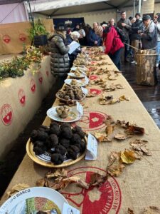 Murisengo celebra il tartufo. Domenica nuovo appuntamento