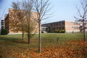 Scuole medie, dal prossimo anno arriva l’indirizzo sportivo alla Dante