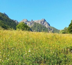 Usseglio, escursione al Pian Benot in occasione della Mostra della Toma