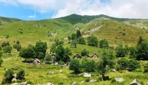 Casale: trekking nell’Oasi Zegna tra Bosco del Sorriso ed Eremo di Maria